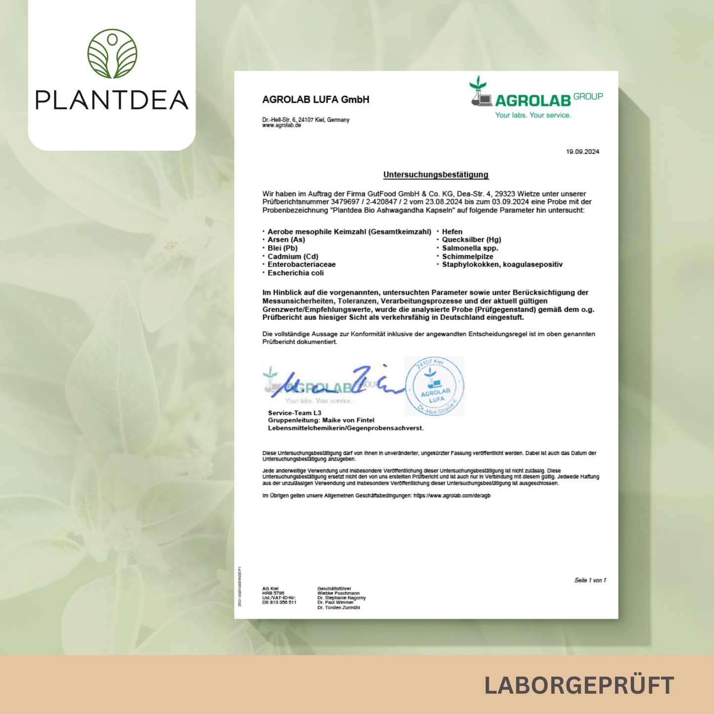 Bio Ashwagandha Kapseln